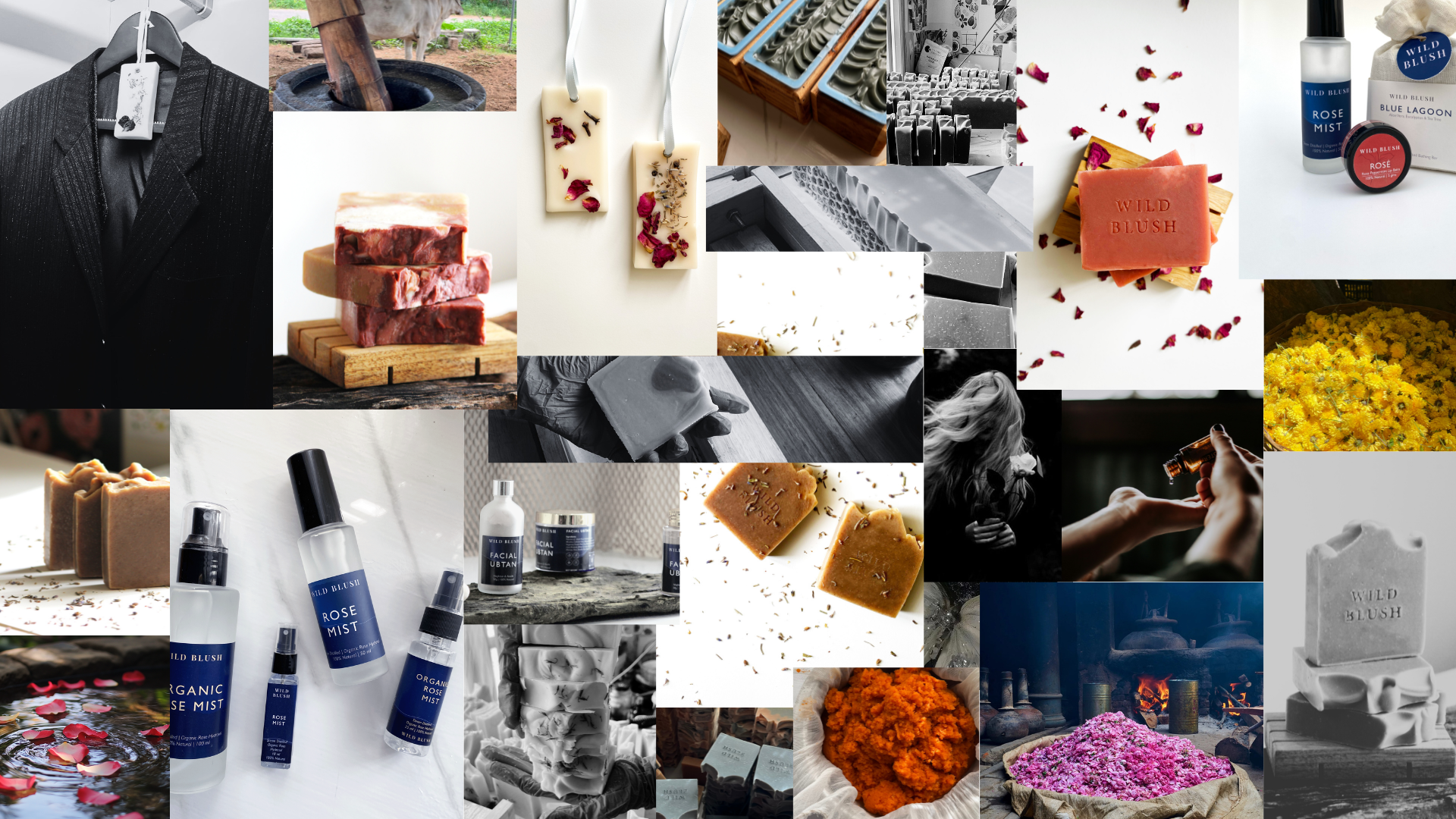 Wild Blush Collage