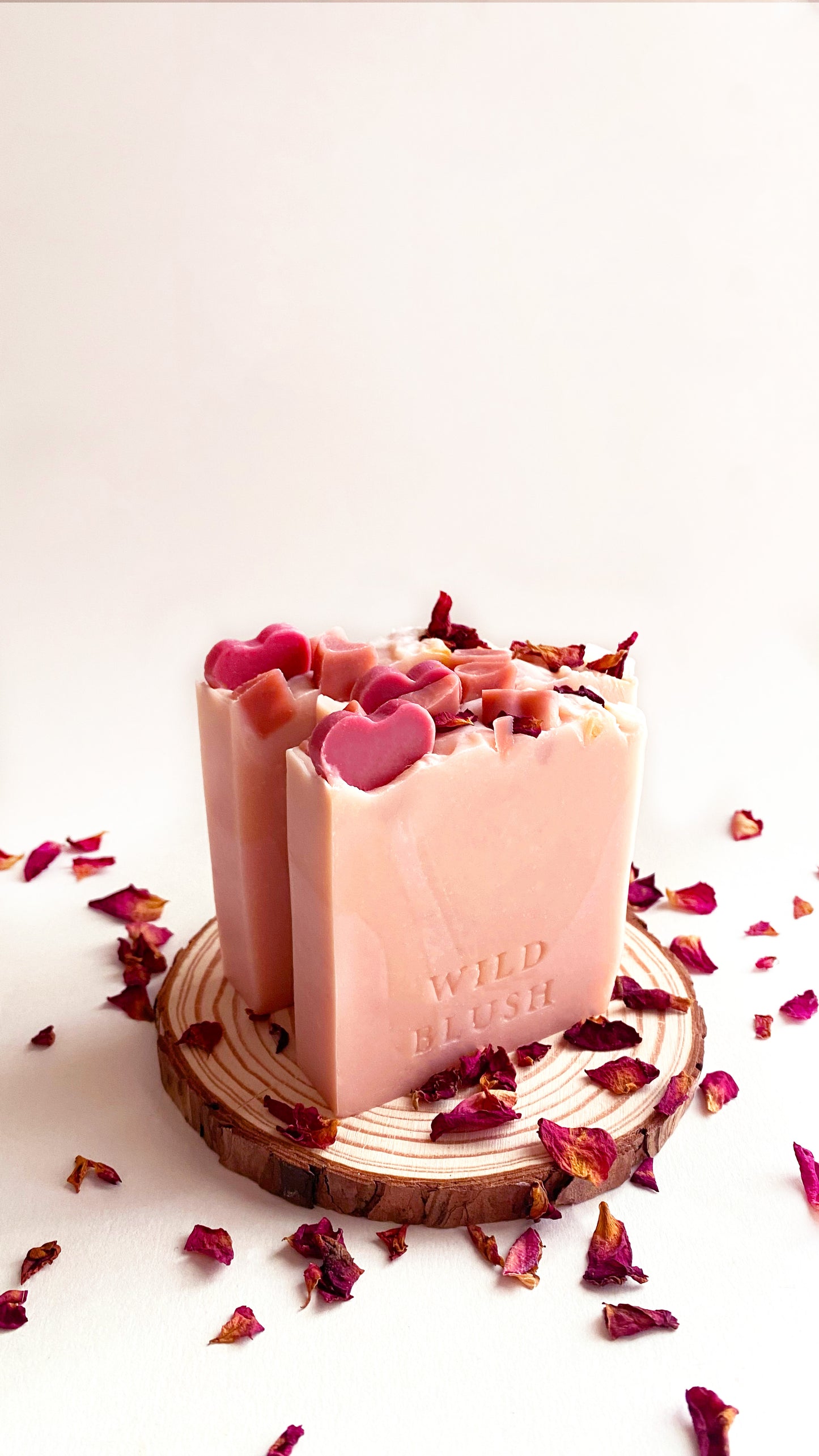 All Hearts | Valentines Edition